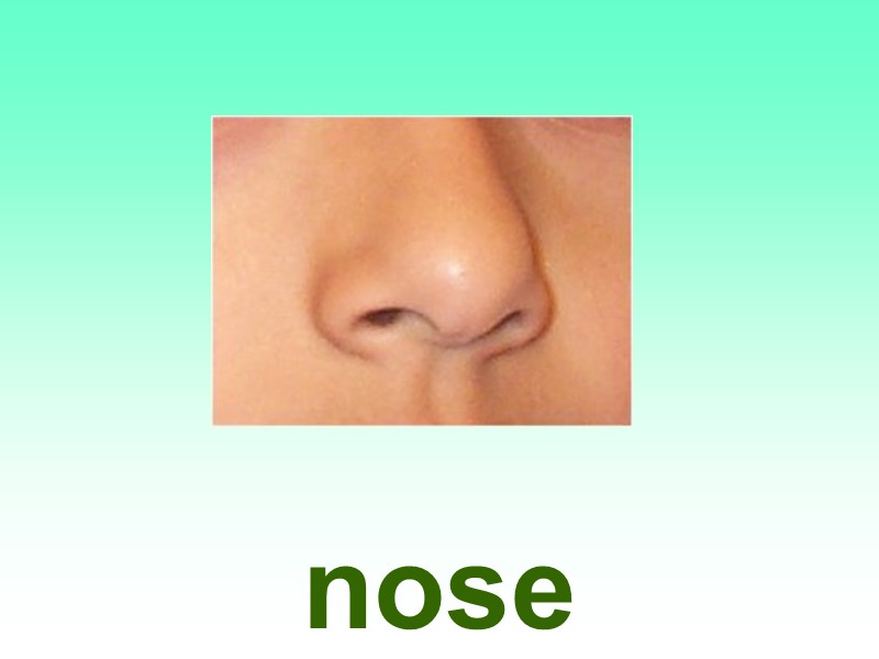 nose